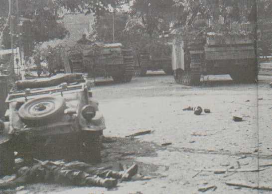 StuG III's of the 9 SS Panzer Division. (Arnhem)