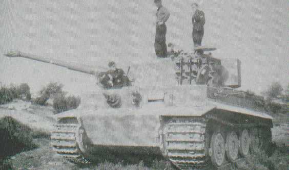 sPz.Abt 504 Tiger I Italy.jpg (22682 bytes)