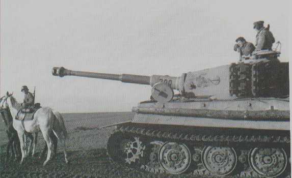 Tiger I ausf E #300 3./sPz.Abt 505