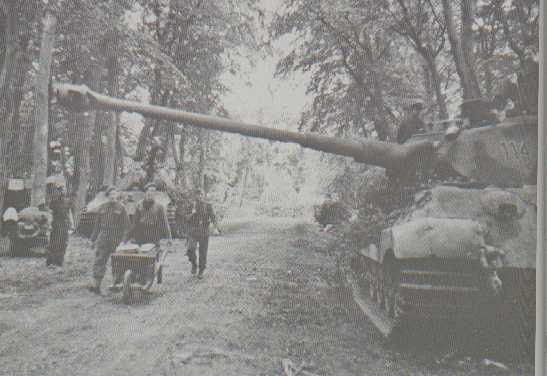 Tiger II's of the sPz.Abt 503 (1st kompanie)